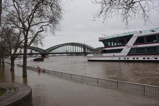 Bild Hochwasser - 07.02.2021 / 8.69m