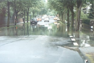 Bild Hochwasser - 19.10.1981 / 7.61m