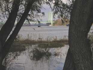 Bild Hochwasser - 28.02.2002 / 8.56m