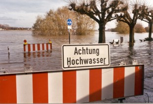 Bild Hochwasser - 24.03.2002 / 8.59m