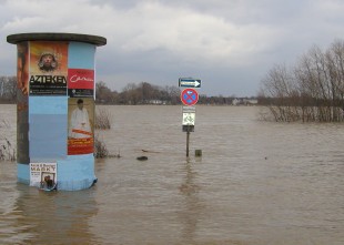 Bild Hochwasser - 17.01.2004 / 7.95m